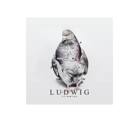 Stimming - Ludwig LP