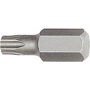 Licota LIBTX33055