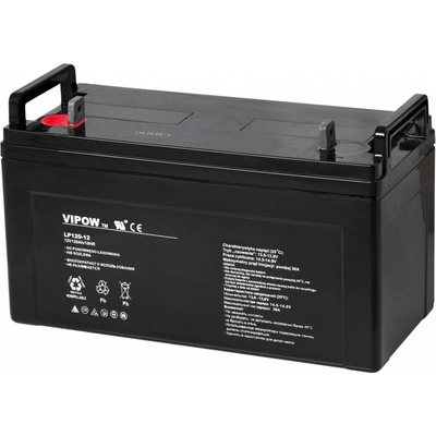 VIPOW 12V 120Ah BAT0229