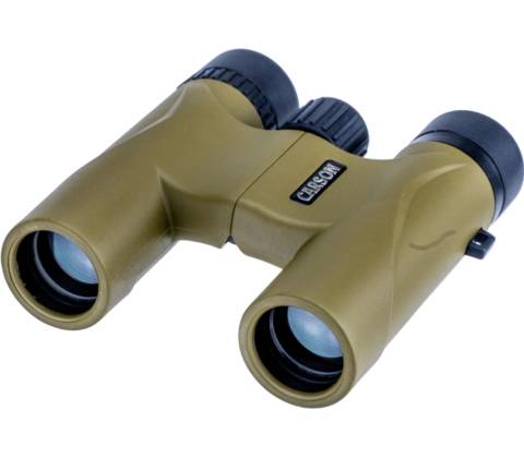 Carson Stinger 10x25 HW-025