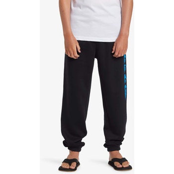 Quiksilver Спортно долнище graphic jogger