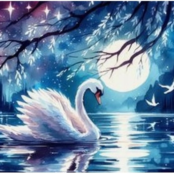Norimpex - Puzzle Diamant painting: Swan at full moon 30x40cm - 1 - 39 piese