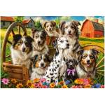 Castorland - Puzzle Happy Dogs in the Countryside - 1 000 piese