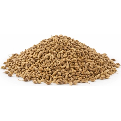 QuickTea Anýz plod celý 1000 g