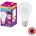 OSRAM A100 E27 13W 6500K (P22701)