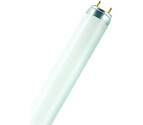 Osram 4050300325613