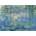 Ravensburger - Puzzle Art Collection: C. Monet - Water lilies - 1 000 piese
