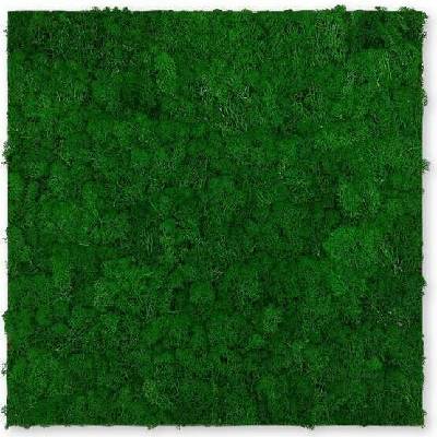 Jangal Modular Wall Nature Moss NATURE GREEN 11100 520 x 520 mm 0,2704m²