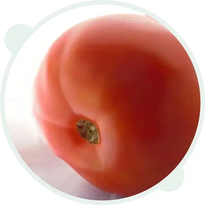 Superior Домат Супер Бийф f1