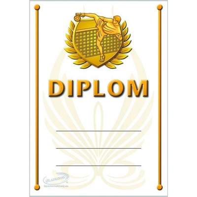 DN01c Diplom nohejbal