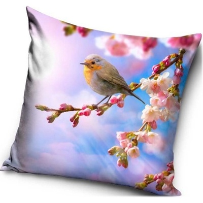 Carbotex vankúš Červenka obyčajná 40x40