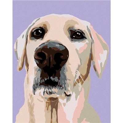 zuty malování podle čísel Labradorský retrívr 80 x 100 cm vypnuté plátno na rám