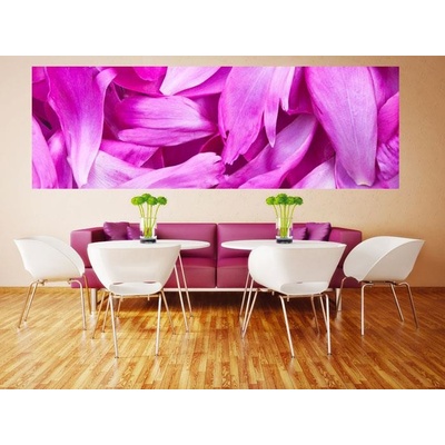 Dimex M-486 vliesová fototapeta na zeď Violet petals rozměry 330 x 110 cm