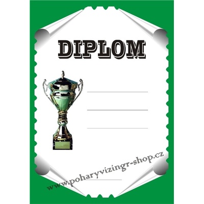 VIZINGR Diplom A4 D č.39