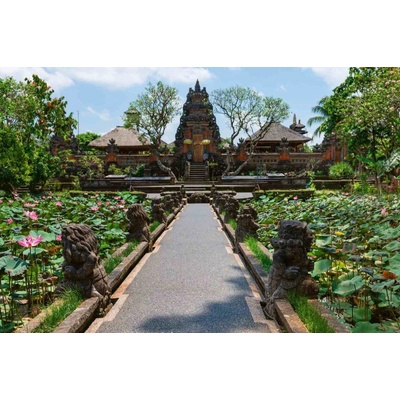 Dimex MS-5-1163 Vliesová fototapeta Pura Saraswati rozměry 375 x 250 cm