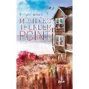 Knihy Thunder Point 1: Tulák v Thunder Pointu - Robyn Carrová