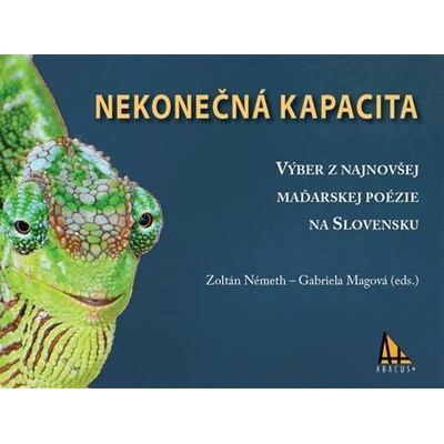 Nekonečná kapacita