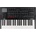 Korg modwave