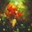 EARTHSIDE - LET THE TRUTH SPEAK CD