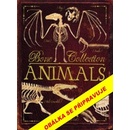 Knihy Kosti a kostry: Zvířata