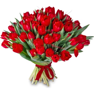Červené tulipány 20 Ks