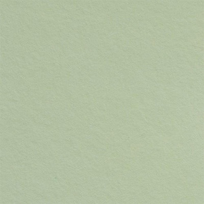 Fabriano Картон Elle Erre, 70 x 100 cm, 220 g/m2, № 117, пяс (1535180516)