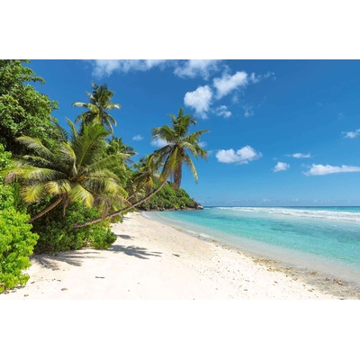 DIMEX ART Флизелинов фототапет палми на тропически остров 375 x 250 см