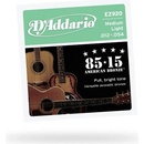 DAddario EZ920