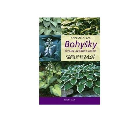 Bohyšky