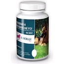 Vitamíny a doplňky stravy pro psy Univit Roboran H pro barevné psy 250 g