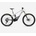 Orbea Wild M-Team (2023)