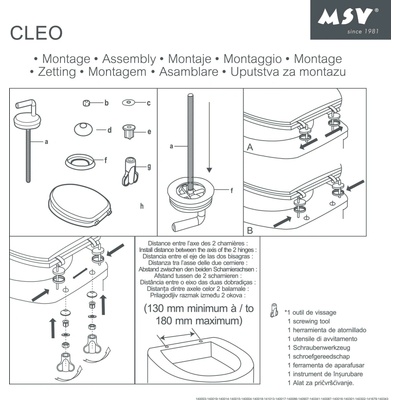 MSV CLEO 140907
