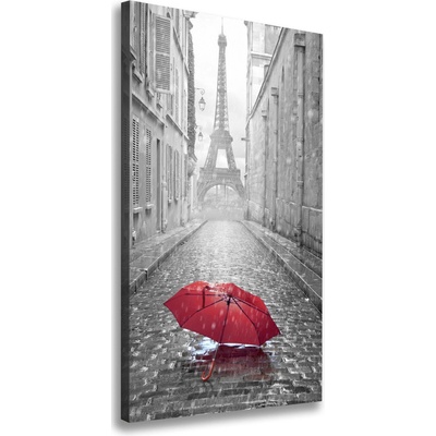 Vertikálny foto obraz na plátne Dáždnik Francúzsko 50x100 cm