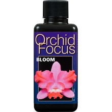 Growth Technology Orchid Focus Bloom 300ml