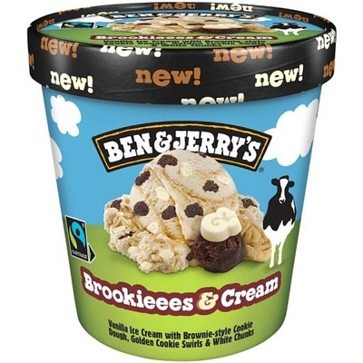 Ben & Jerry's Brookieees & Cream 465 ml – Sleviste.cz