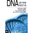 DNA po roce 2012