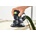Festool Protector PR ETS-R 125