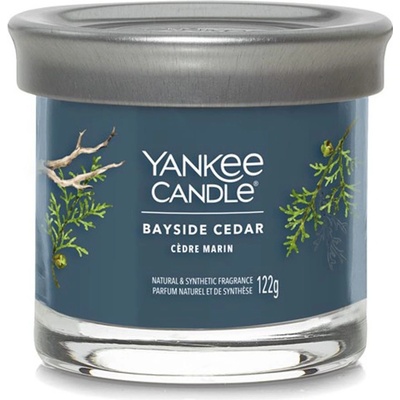 Yankee Candle Signature tumbler Bayside Cedar 122 g