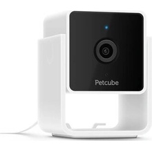 PetCube Cam