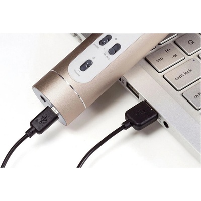 Teddies Mikrofon karaoke Bluetooth zlatý na baterie