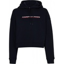 Tommy Hilfiger Regular Graphic Hood desert sky