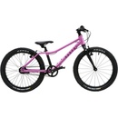 RASCAL Raspberry 2026