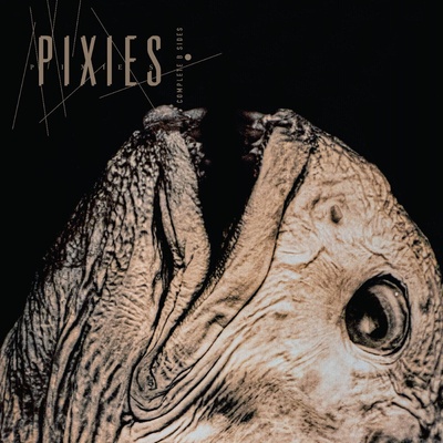 Pixies - Complete B-Sides: 1988-97 (Gatefold Sleeve) (2 LP) (0191400087811)