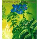 Yes: Fly From HereReturn Trip BD