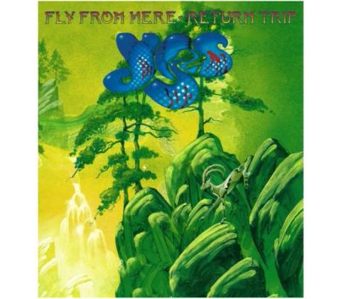 Yes: Fly From HereReturn Trip BD