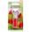 Lip Smacker Lippy Pals подхранващ балсам за устни Water Meow-Ion 4 гр