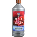 Hesi Boost 2,5 l