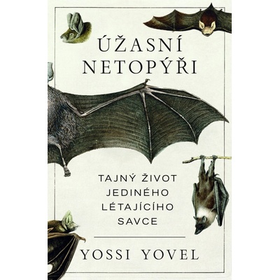 Úžasní netopýři