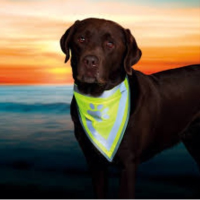 TRIXIE Bandata Reflex - Нашийник тип кърпа за кучета L - 43-60 см