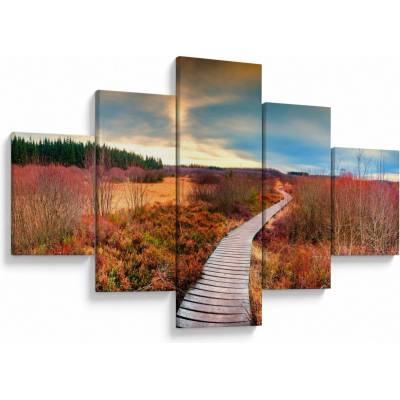 Obraz - Podzimní cesta krajinou, pětidílný 125x70 cm – Hledejceny.cz